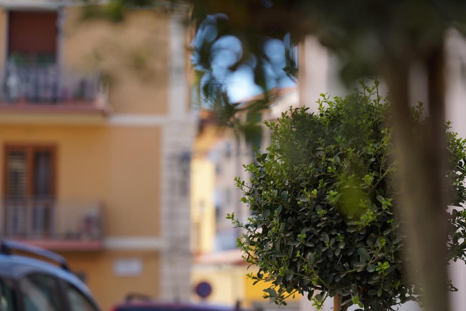 4Rooms B&B - Holiday Home Lamezia Terme Eksteriør bilde